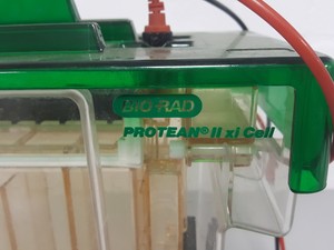 Thumbnail image of Bio-Rad Protean II XI Gel Electrophoresis Cell Lab