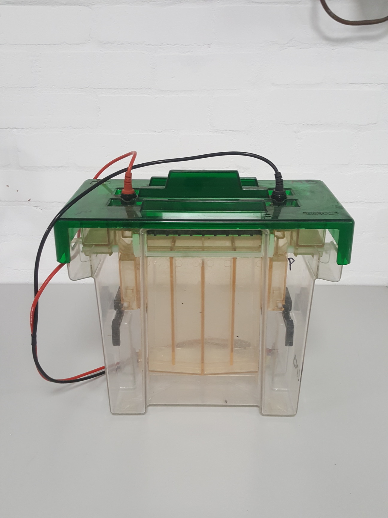 Image of Bio-Rad Protean II XI Gel Electrophoresis Cell Lab