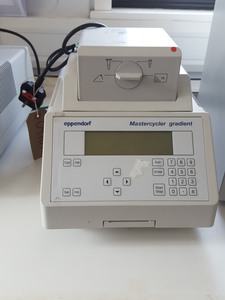 Image of item