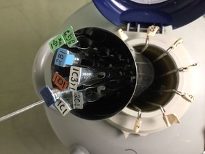 Thumbnail image of Statebourne Bio 36 - Nitrogen Dewar