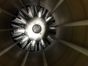 Thumbnail image of Statebourne Bio 36 - Nitrogen Dewar