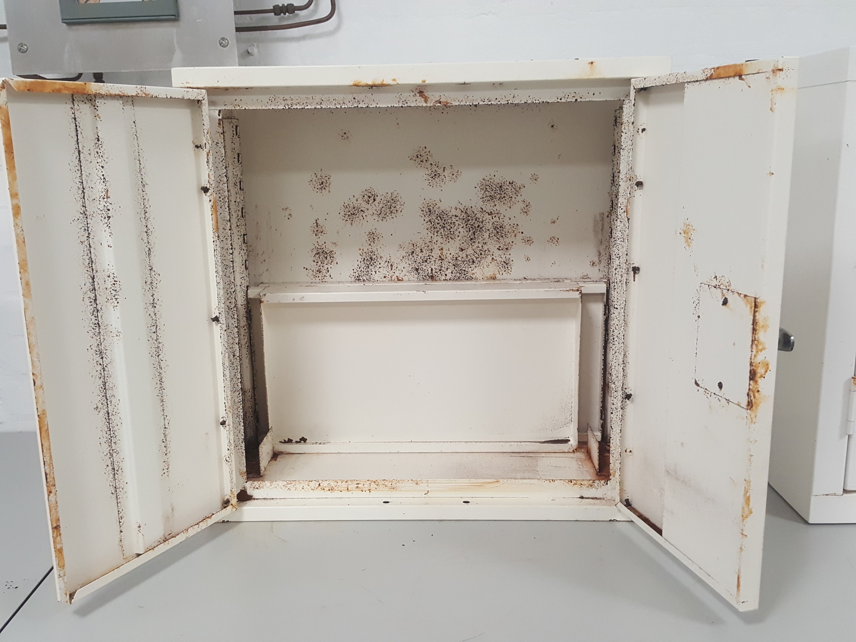 Image of Two Door Laboratory Chemical Storage Cabinet Corrosive Lab