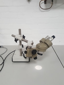 Image of item