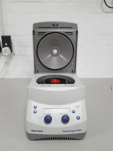 Image of item
