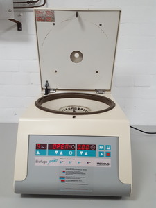 Image of item