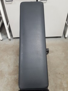 Thumbnail image of Technogym Incline Adjustable Bench Gym Commercial