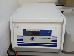 Image of item