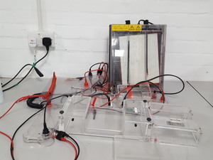Thumbnail image of Bio-Rad Wide Mini Cell GT System With Pharmacia Biotech Multiphor II