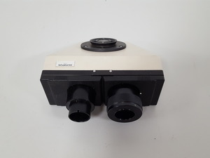 Image of item