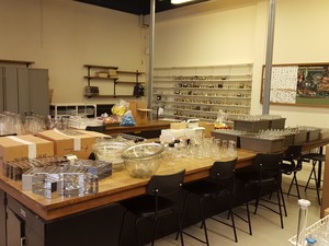 Thumbnail image of Large lot of Lab Glassware, Bottles, Test Tubes Measuring Cylinders Racks Flasks