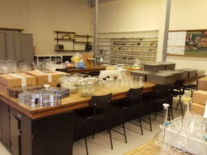 Thumbnail image of Large lot of Lab Glassware, Bottles, Test Tubes Measuring Cylinders Racks Flasks
