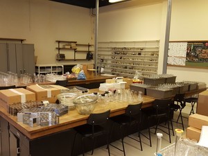 Thumbnail image of Large lot of Lab Glassware, Bottles, Test Tubes Measuring Cylinders Racks Flasks