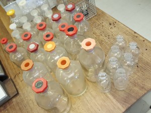 Thumbnail image of Large lot of Lab Glassware, Bottles, Test Tubes Measuring Cylinders Racks Flasks