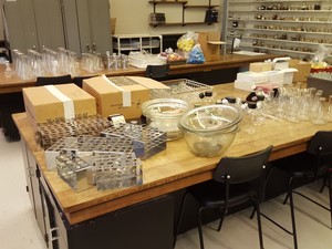 Thumbnail image of Large lot of Lab Glassware, Bottles, Test Tubes Measuring Cylinders Racks Flasks