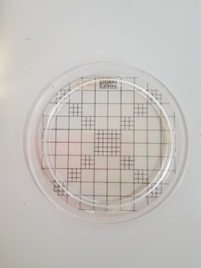 Thumbnail image of Gallenkamp CNW 325 010X Colony Counter Lab