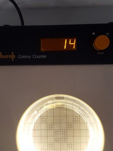 Thumbnail image of Gallenkamp CNW 325 010X Colony Counter Lab