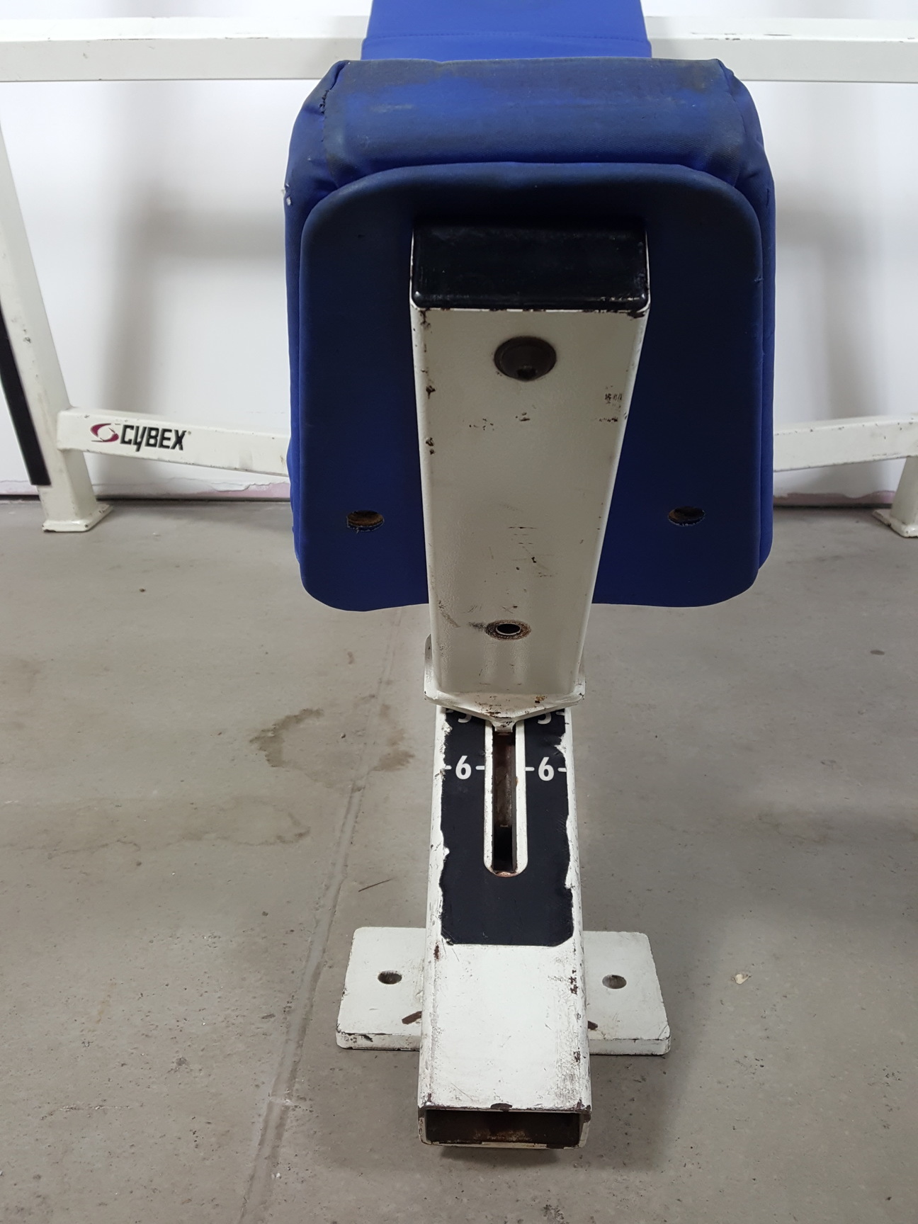 Image of Cybex Olympic Incline Press Bench Commercial Gym