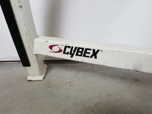 Thumbnail image of Cybex Olympic Incline Press Bench Commercial Gym