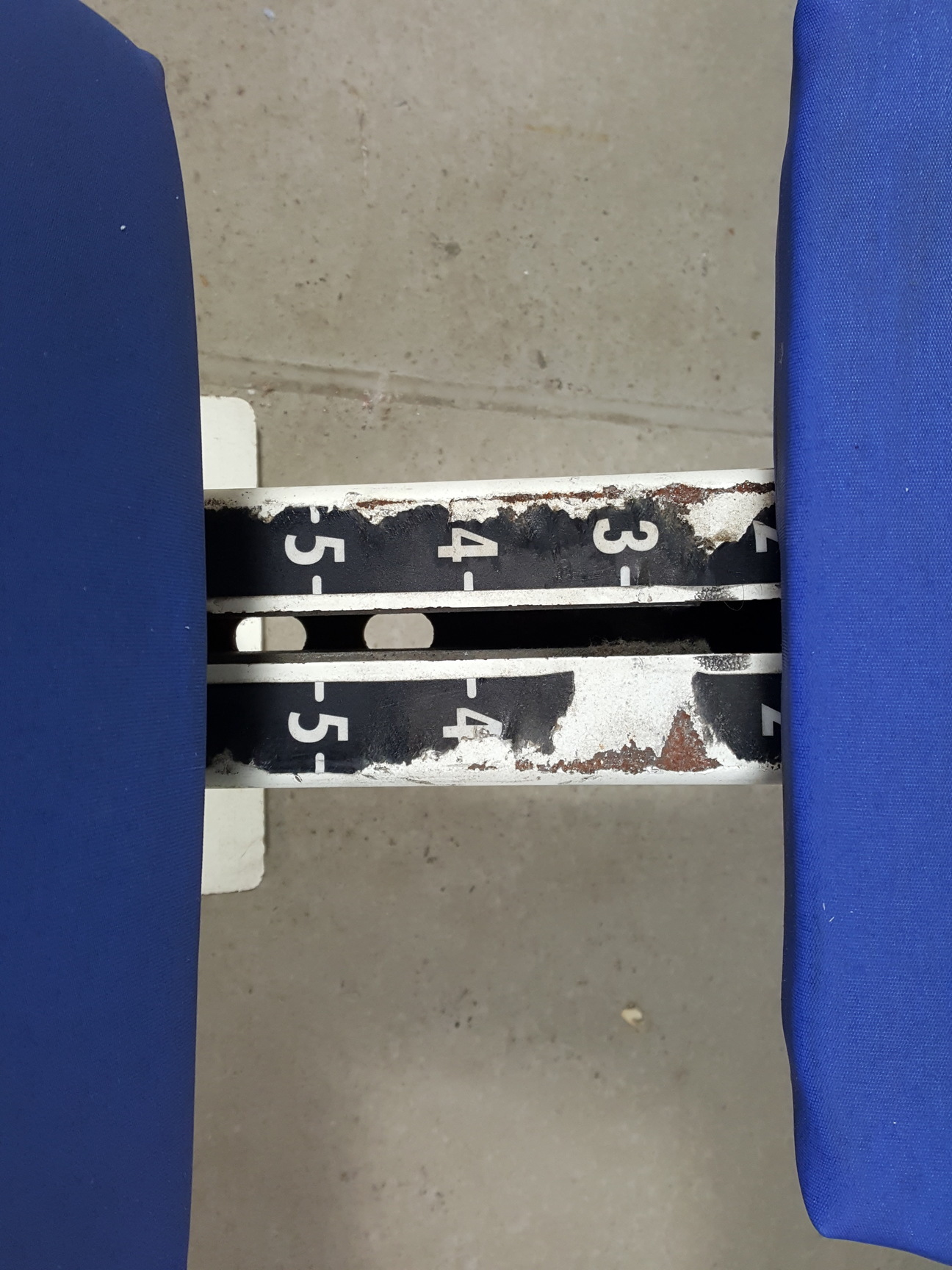 Image of Cybex Olympic Incline Press Bench Commercial Gym