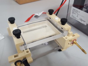 Thumbnail image of Hoefer miniVE Vertical Electrophoresis System & Electrotransfer Unit Gel Lab