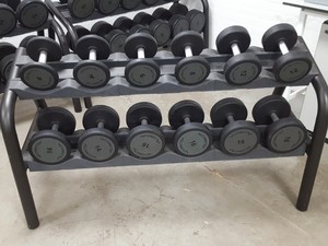 Thumbnail image of Technogym Dumbbell Complete Set 12 to 48kg With 5 Racks, 1460kg Total