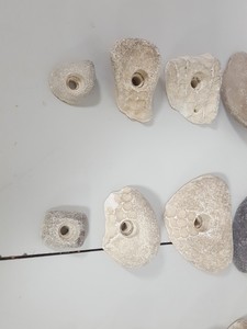 Thumbnail image of Lot of 25 White Bouldering / Rock Climbing Grips Hand / Foot - No Bolts