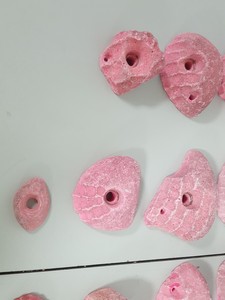 Thumbnail image of Lot of 22 Pink Bouldering / Rock Climbing Grips Hand / Foot - No Bolts