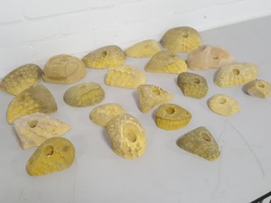 Thumbnail image of Lot of 21 Yellow Bouldering / Rock Climbing Grips Hand / Foot - No Bolts