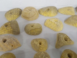 Thumbnail image of Lot of 21 Yellow Bouldering / Rock Climbing Grips Hand / Foot - No Bolts