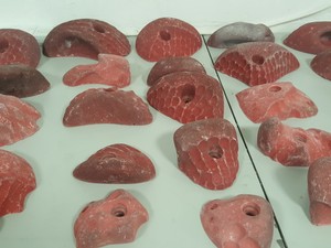Thumbnail image of Lot of 25 Red Bouldering / Rock Climbing Grips Hand / Foot - No Bolts