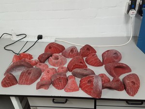 Thumbnail image of Lot of 25 Red Bouldering / Rock Climbing Grips Hand / Foot - No Bolts