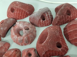 Thumbnail image of Lot of 25 Red Bouldering / Rock Climbing Grips Hand / Foot - No Bolts