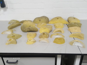 Thumbnail image of Lot of 25 Yellow Bouldering / Rock Climbing Grips Hand / Foot - No Bolts