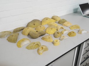 Thumbnail image of Lot of 25 Yellow Bouldering / Rock Climbing Grips Hand / Foot - No Bolts