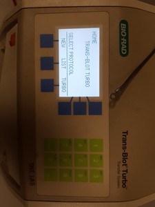 Thumbnail image of Bio-Rad Trans-Blot Turbo Transfer System + GibcoBRL Model V15-17 & Cassettes Lab