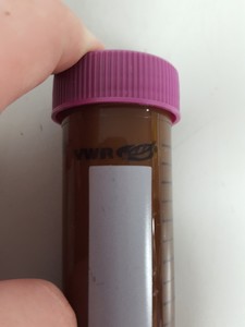 Thumbnail image of 500 Pack VWR 50ml Centrifuge Tubes + Caps For Light Sensitive Samples 525-04 Lab