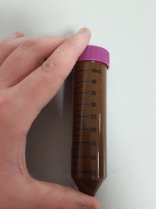 Thumbnail image of 500 Pack VWR 50ml Centrifuge Tubes + Caps For Light Sensitive Samples 525-04 Lab