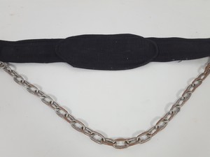 Thumbnail image of Harbinger Polypropylene Dip Belt with Steel Chain