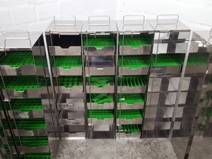Thumbnail image of Lot of 12 -80 Lab Freezer Storage Racks Lab 58cm x 14cm x 16.4cm