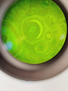 Thumbnail image of CETI Microscope Jenoptik ProgRes CF + 5 Objectives Pln PH 40x/0.60, 20x/0.40 Lab