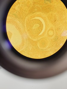 Thumbnail image of CETI Microscope Jenoptik ProgRes CF + 5 Objectives Pln PH 40x/0.60, 20x/0.40 Lab