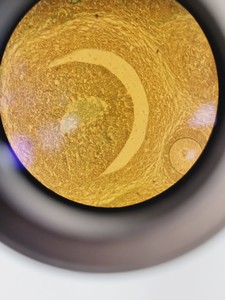 Thumbnail image of CETI Microscope Jenoptik ProgRes CF + 5 Objectives Pln PH 40x/0.60, 20x/0.40 Lab
