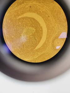Thumbnail image of CETI Microscope Jenoptik ProgRes CF + 5 Objectives Pln PH 40x/0.60, 20x/0.40 Lab