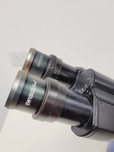 Thumbnail image of CETI Microscope Jenoptik ProgRes CF + 5 Objectives Pln PH 40x/0.60, 20x/0.40 Lab