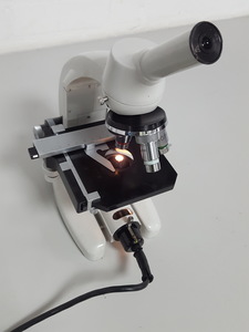 Image of item