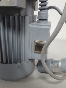 Image of item