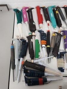 Thumbnail image of Job Lot 38 Lab Pipettes, Eppendorf, Gilson, Finnpipette, Thermo