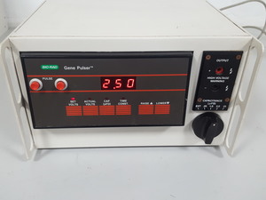 Image of item