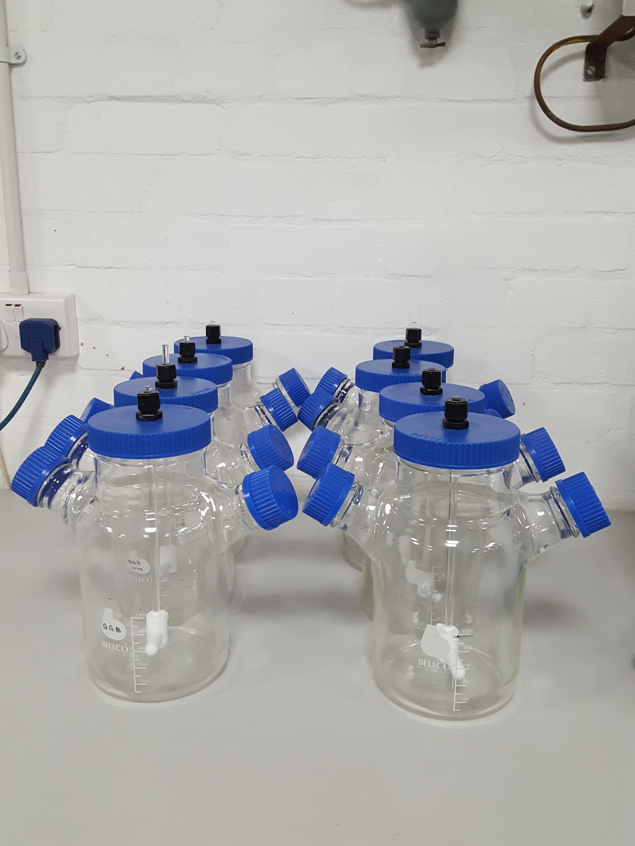 8x Bellco 1000 mL 3Neck Glass Spinner Flask With Terumo Syringe