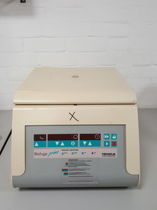 Image of item